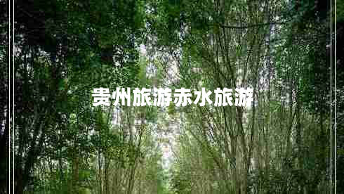 貴州旅游赤水旅游