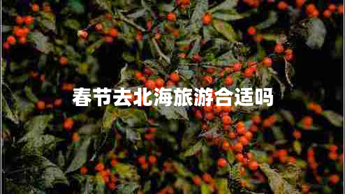 春節去北海旅游合適嗎