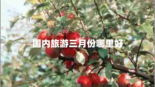 國內旅游三月份哪里好