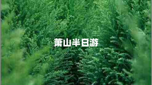 蕭山半日游
