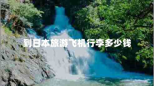 到日本旅游飛機行李多少錢(qián)