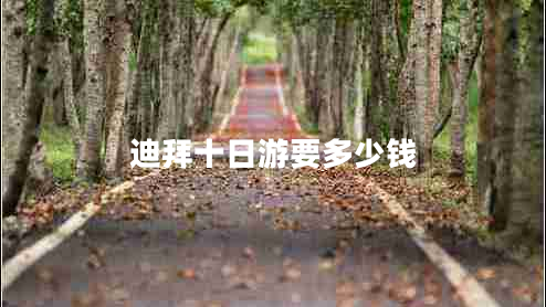 迪拜十日游要多少錢(qián)