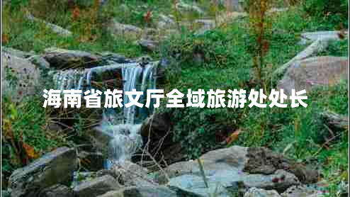 海南省旅文廳全域旅游處處長(cháng)
