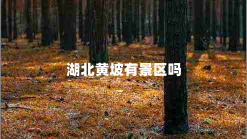 湖北黃坡有景區嗎