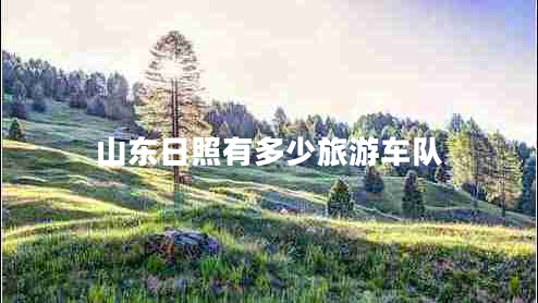 山東日照有多少旅游車(chē)隊