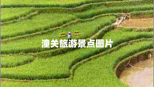 潼關(guān)旅游景點(diǎn)圖片
