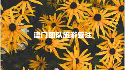 澳門(mén)團隊旅游簽注