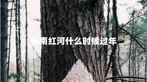 云南紅河什么時(shí)候過(guò)年