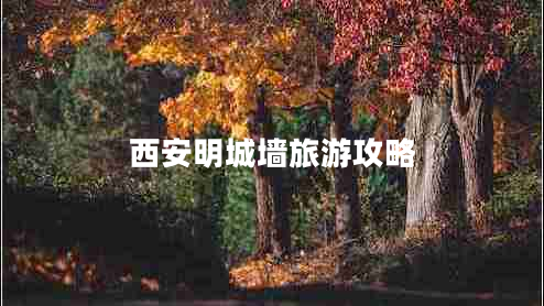 西安明城墻旅游攻略