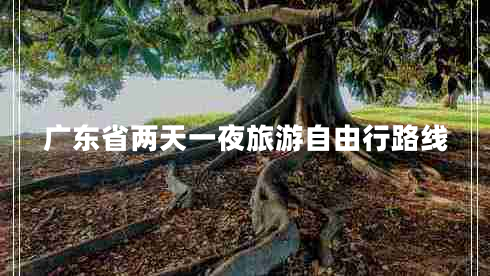 廣東省兩天一夜旅游自由行路線(xiàn)