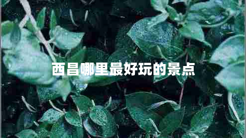 西昌哪里最好玩的景點(diǎn)