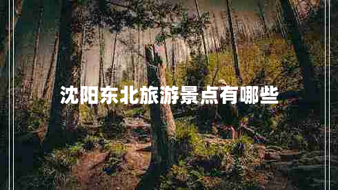 沈陽(yáng)東北旅游景點(diǎn)有哪些