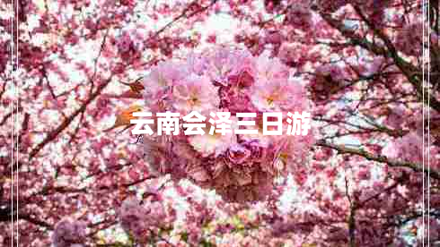 云南會(huì )澤三日游