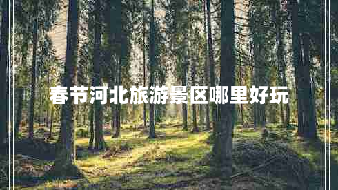 春節河北旅游景區哪里好玩