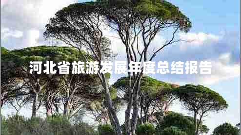 河北省旅游發(fā)展年度總結報告