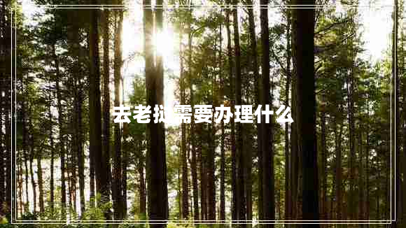 去老撾需要辦理什么