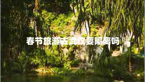 春節旅游去武漢要隔離嗎