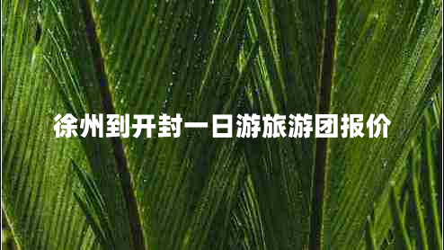 徐州到開(kāi)封一日游旅游團報價(jià)