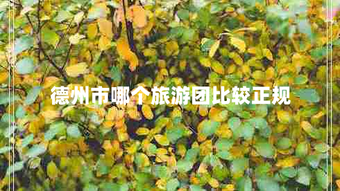 德州市哪個(gè)旅游團比較正規