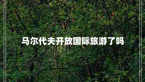 馬爾代夫開(kāi)放國際旅游了嗎