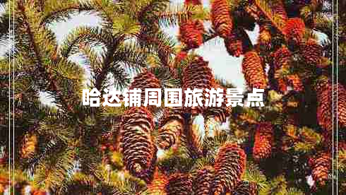哈達鋪周?chē)糜尉包c(diǎn)