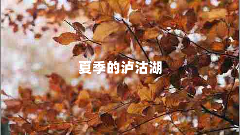 夏季的瀘沽湖