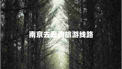 南京去云南旅游線(xiàn)路