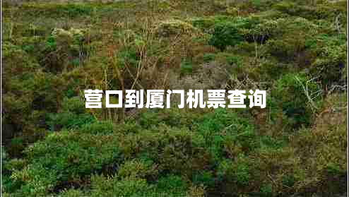 營(yíng)口到廈門(mén)機票查詢(xún)