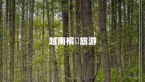 越南檳椥旅游