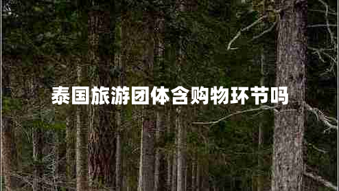 泰國旅游團體含購物環(huán)節嗎