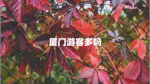 廈門游客多嗎