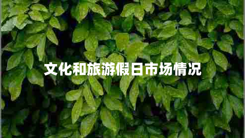 文化和旅游假日市場(chǎng)情況