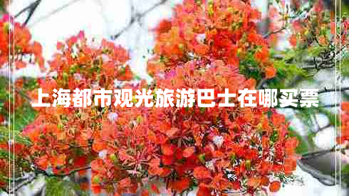 上海都市觀(guān)光旅游巴士在哪買(mǎi)票
