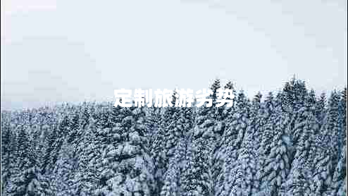 定制旅游劣勢