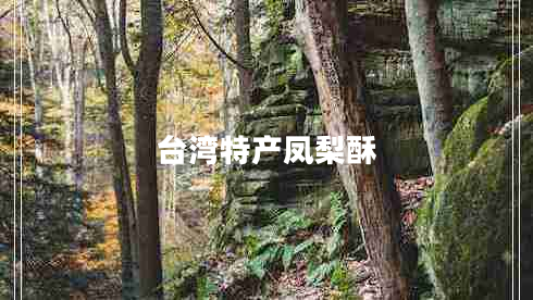 臺灣特產(chǎn)鳳梨酥