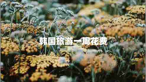 韓國旅游一周花費