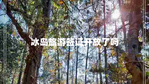 冰島旅游簽證開(kāi)放了嗎