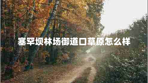 塞罕壩林場(chǎng)御道口草原怎么樣