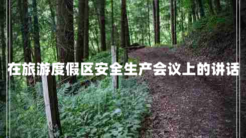 在旅游度假區安全生產(chǎn)會(huì )議上的講話(huà)