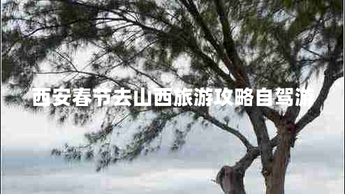 西安春節去山西旅游攻略自駕游