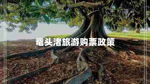 黿頭渚旅游購票政策