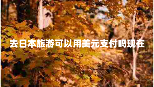 去日本旅游可以用美元支付嗎現在
