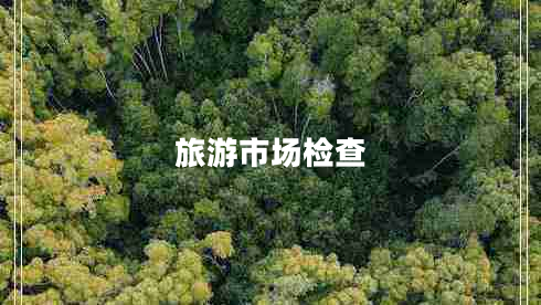 旅游市場(chǎng)檢查