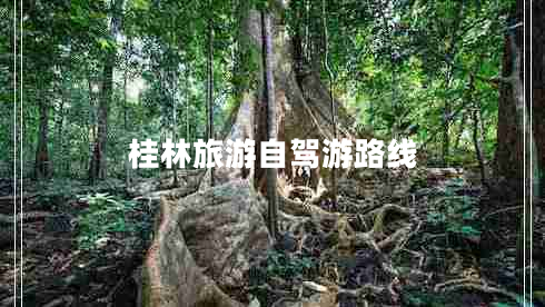 桂林旅游自駕游路線(xiàn)