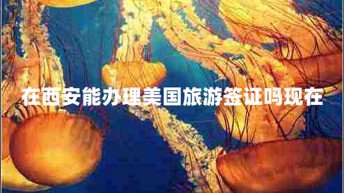 在西安能辦理美國旅游簽證嗎現在
