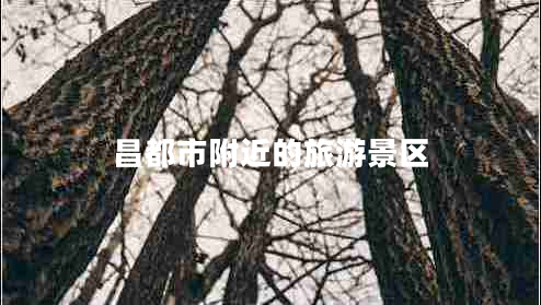 昌都市附近的旅游景區