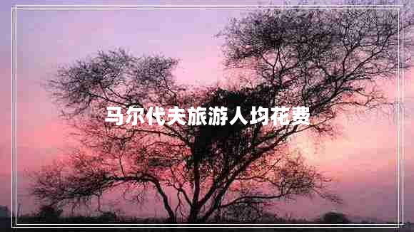 馬爾代夫旅游人均花費