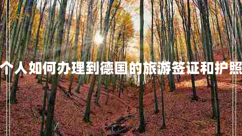 個(gè)人如何辦理到德國的旅游簽證和護照