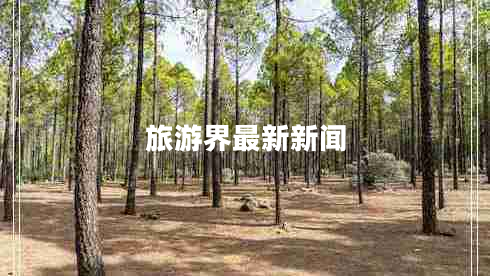 旅游界最新新聞