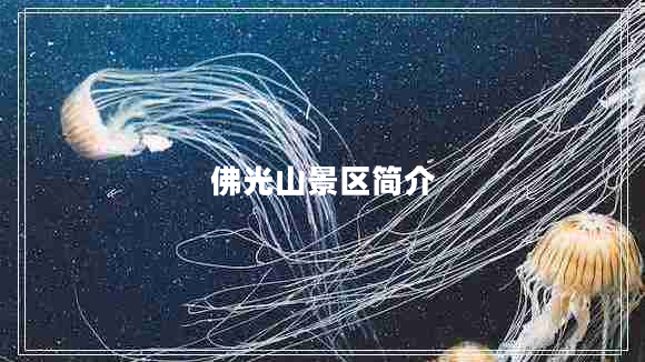 佛光山景區簡(jiǎn)介
